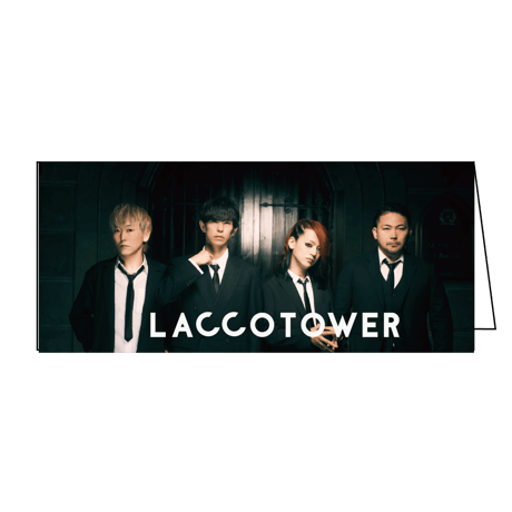 LACCO TOWER ラバーバンド(2本セット)