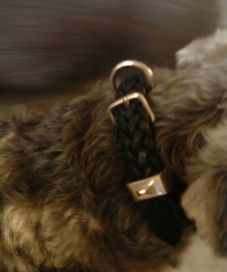 071220022r Lynch silversmith