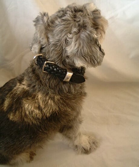 071220022r Lynch silversmith