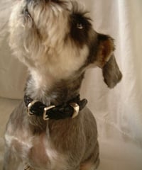 071220022r Lynch silversmith
