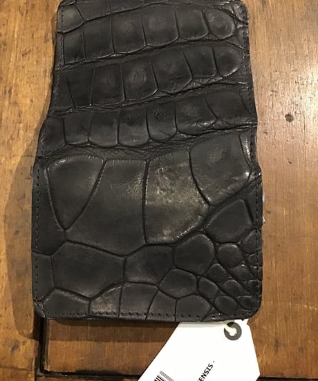 191102018r GUIDI
