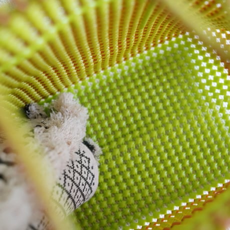 Wire Bags (Lime Brown / L)