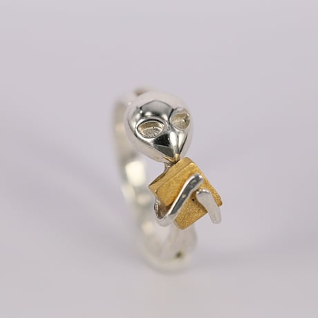 CATEGORY シルバー | Big' Bang' 隕石直売所 銀座