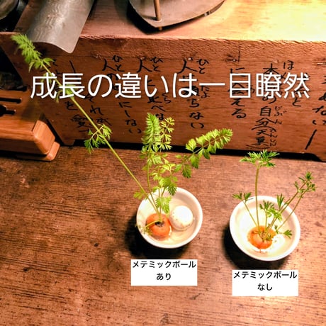 【隕石×セラミック】メテミックボール・３個セット