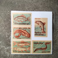 チェコのマッチラベルセット 　魚