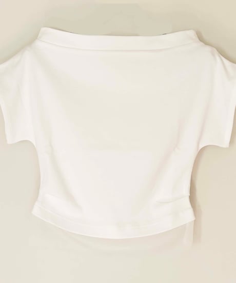 sheer T-shirts