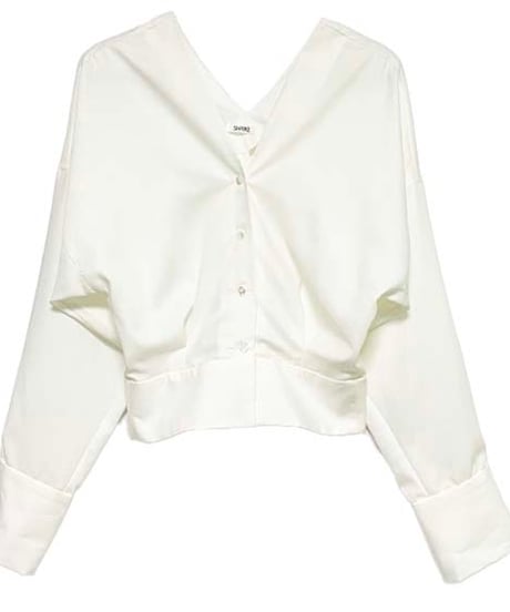 vneck blouse