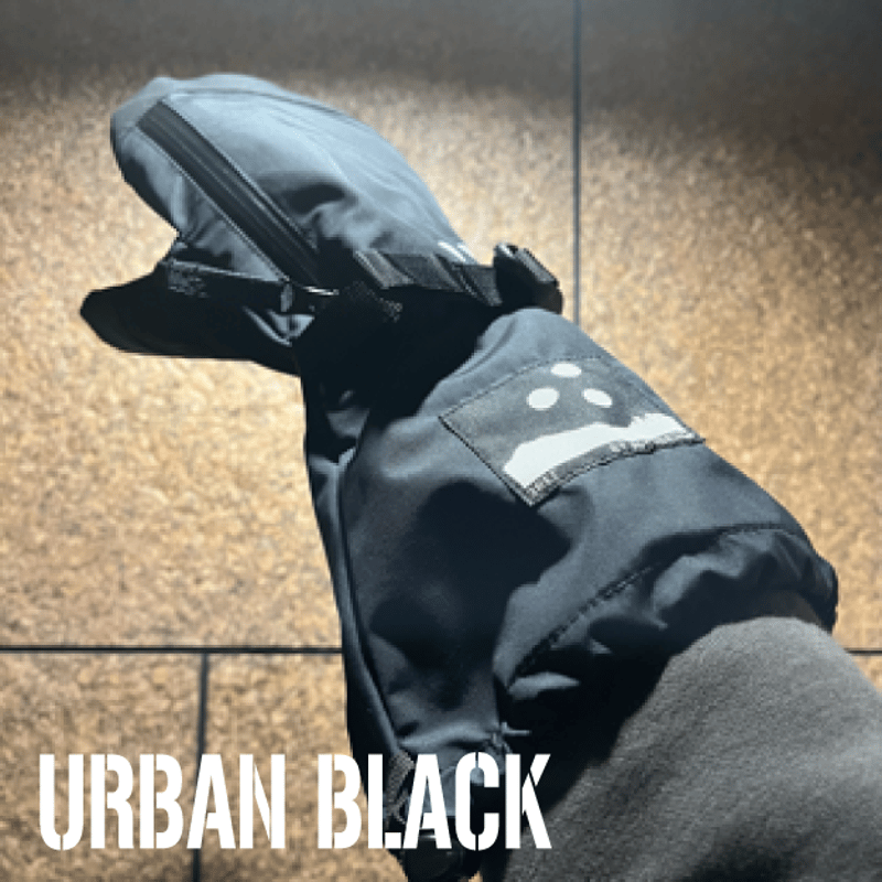  オーバーミトン グローブ ネームレスエイジ GORE-TEX ゴアテックス スノーボード ミトン