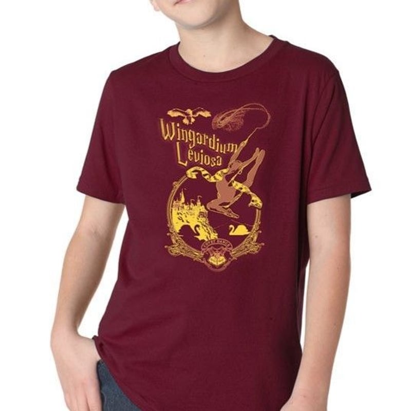 最後の1枚】ハリーポッターのパロディ⁈SWAN LAKE Tシャツ | Ballet Blanc