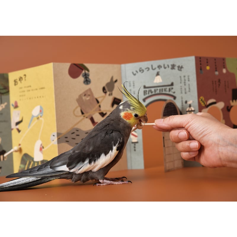 齧られたい本」鳥と人が一緒に楽しむしかけ絵本 | Perch Branch