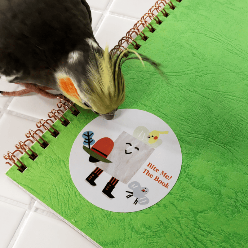 齧られたい本」インコや小鳥がかじって遊べるしかけ絵本 | Perch