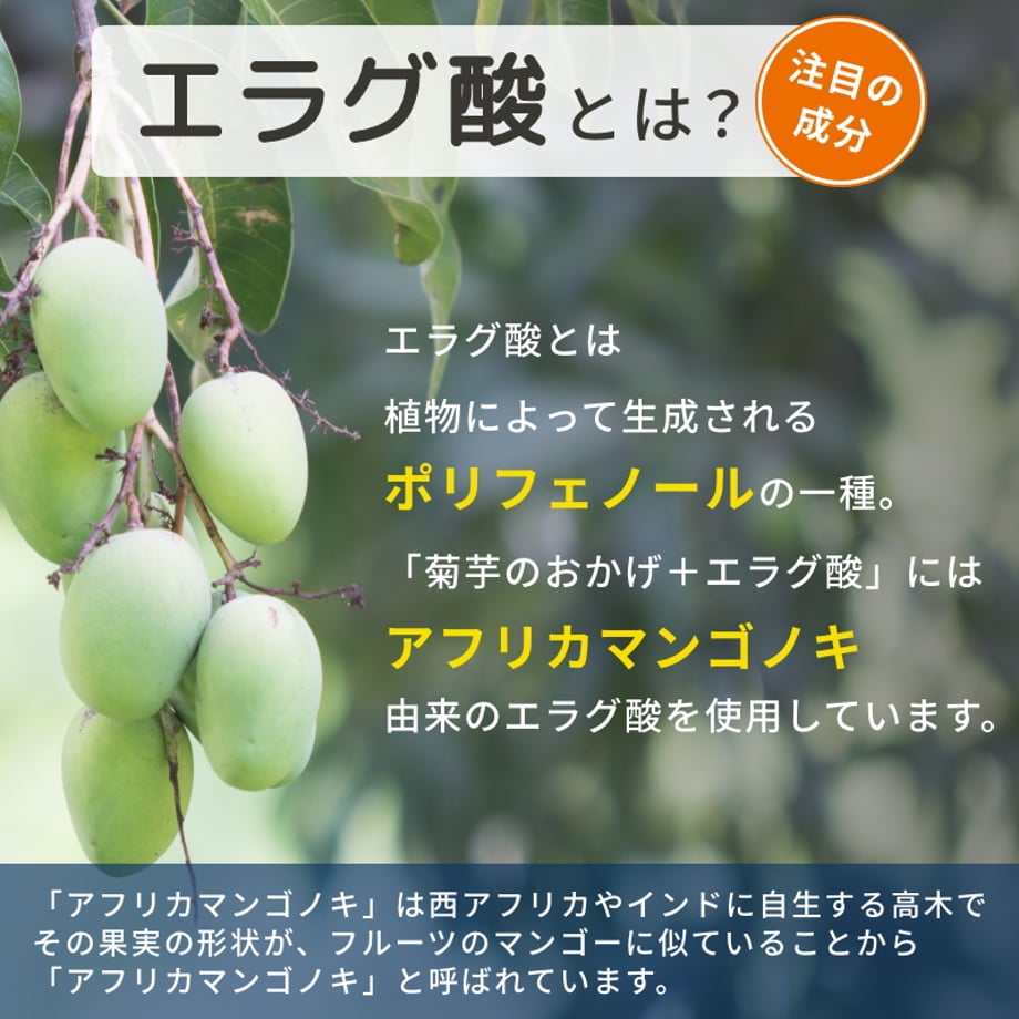 67a40dce7656e203a051a699