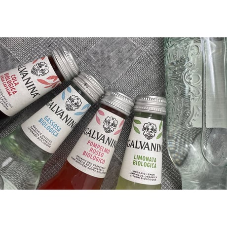 GALVANINA | BIO GASSOSA イタリアンクラシックサイダー 355ml