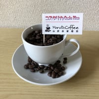 コスタリカ　セントタラス