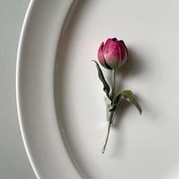 染め花Horry チューリップ