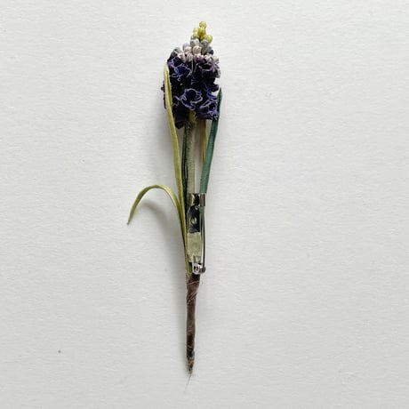 染め花Horry ムスカリ