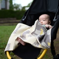HIDE AND SEEK blanket | DEER