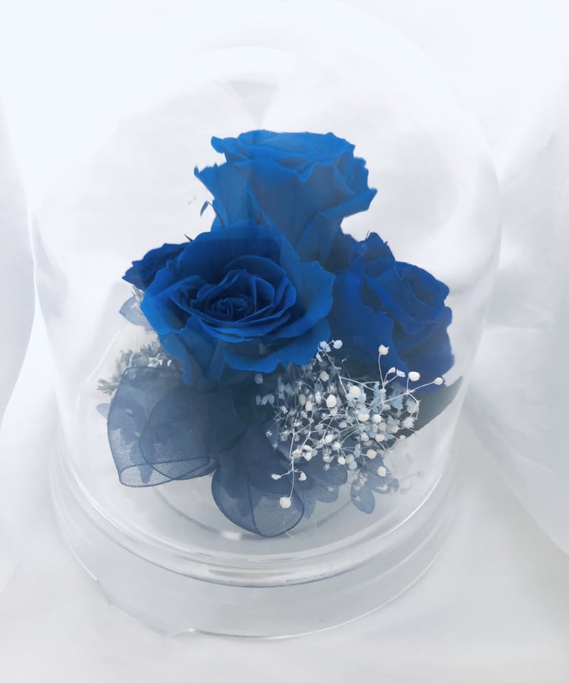 プリザーブドフラワー/ドームの中で咲く青い薔薇/ラッピング付き
