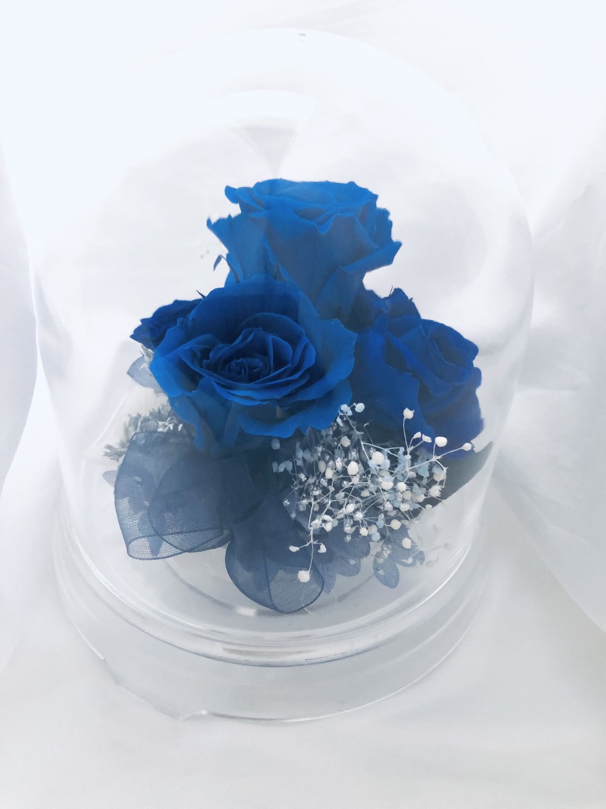 プリザーブドフラワー/ドームの中で咲く青い薔薇/ラッピング付き プリザーブドフラワー/ドームの中で咲く青い薔薇/ラッピング付き