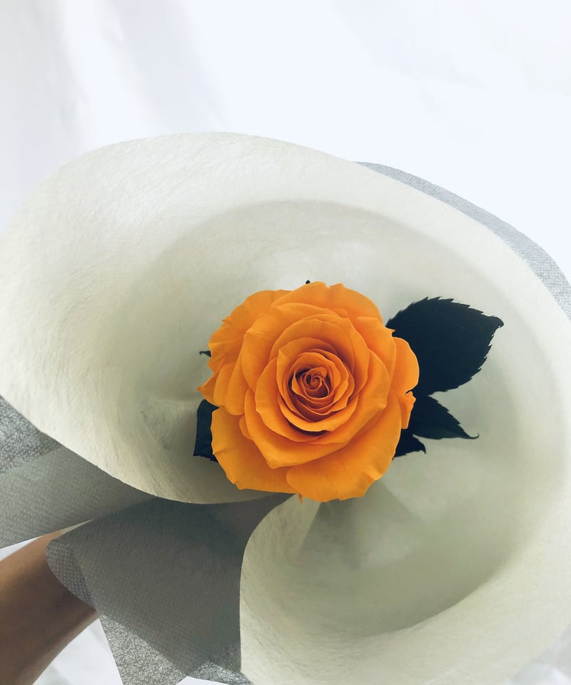 プリザーブドフラワー／オレンジ色の薔薇のふんわり一輪ラッピング