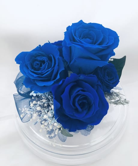 プリザーブドフラワー/ドームの中で咲く青い薔薇/ラッピング付き