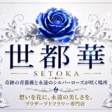 世都華