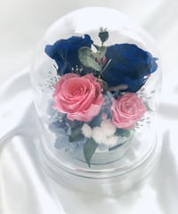 プリザーブドフラワー／ドームの中に咲く青とピンクの薔薇と小花のフラワードーム