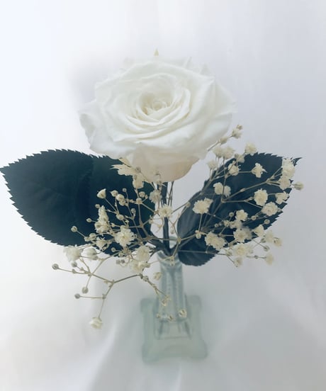 【プリザーブドフラワー／白薔薇とかすみ草のふんわり一輪ラッピング】