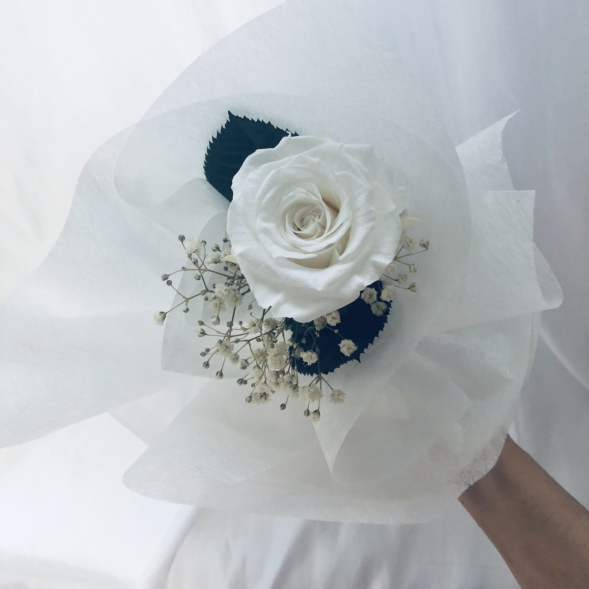 プリザーブドフラワー／白薔薇とかすみ草のふんわり一輪ラッピング