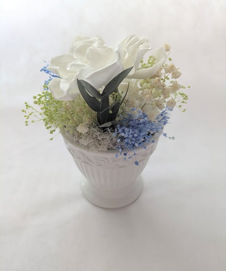 プリザーブドフラワー/クチナシの花の白い輝き/フラワーケースリボンラッピング付き
