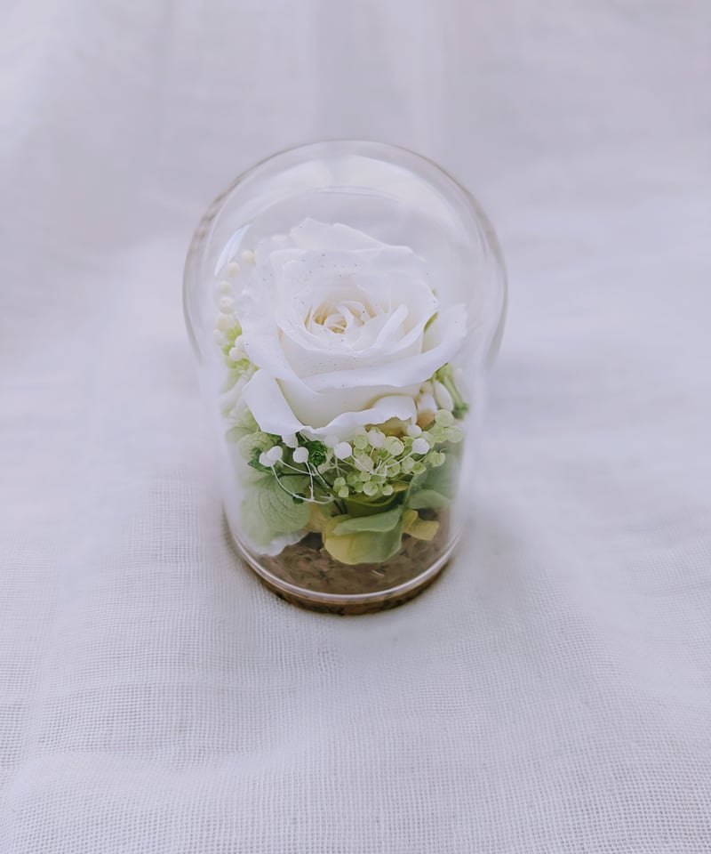 ブリザードフラワー バラの花 白 ドーム入り プリザーブドフラワー/ミニガラスドーム 白いミニ薔薇のミニ