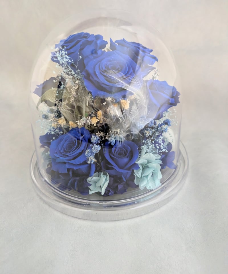プリザーブドフラワー／青い薔薇11輪のラウンドドームギフト小花と白い