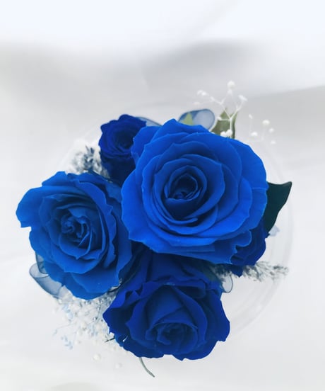 プリザーブドフラワー/ドームの中で咲く青い薔薇/ラッピング付き