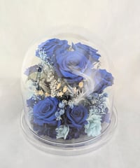 プリザーブドフラワー／青い薔薇11輪のラウンドドームギフト小花と白い羽根／花言葉・最愛の人