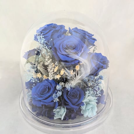 STORES プリザーブドフラワーの検索結果