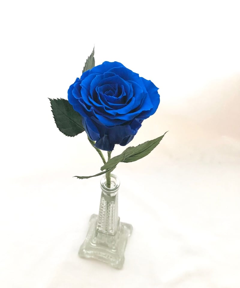 プリザードフラワー　ブルーローズ　青い薔薇一輪 プリザーブドフラワー／青い薔薇の祝福一輪ラッピング】 | 世都華