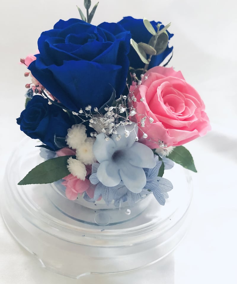 プリザーブドフラワー／ドームの中に咲く青とピンクの薔薇と小花の