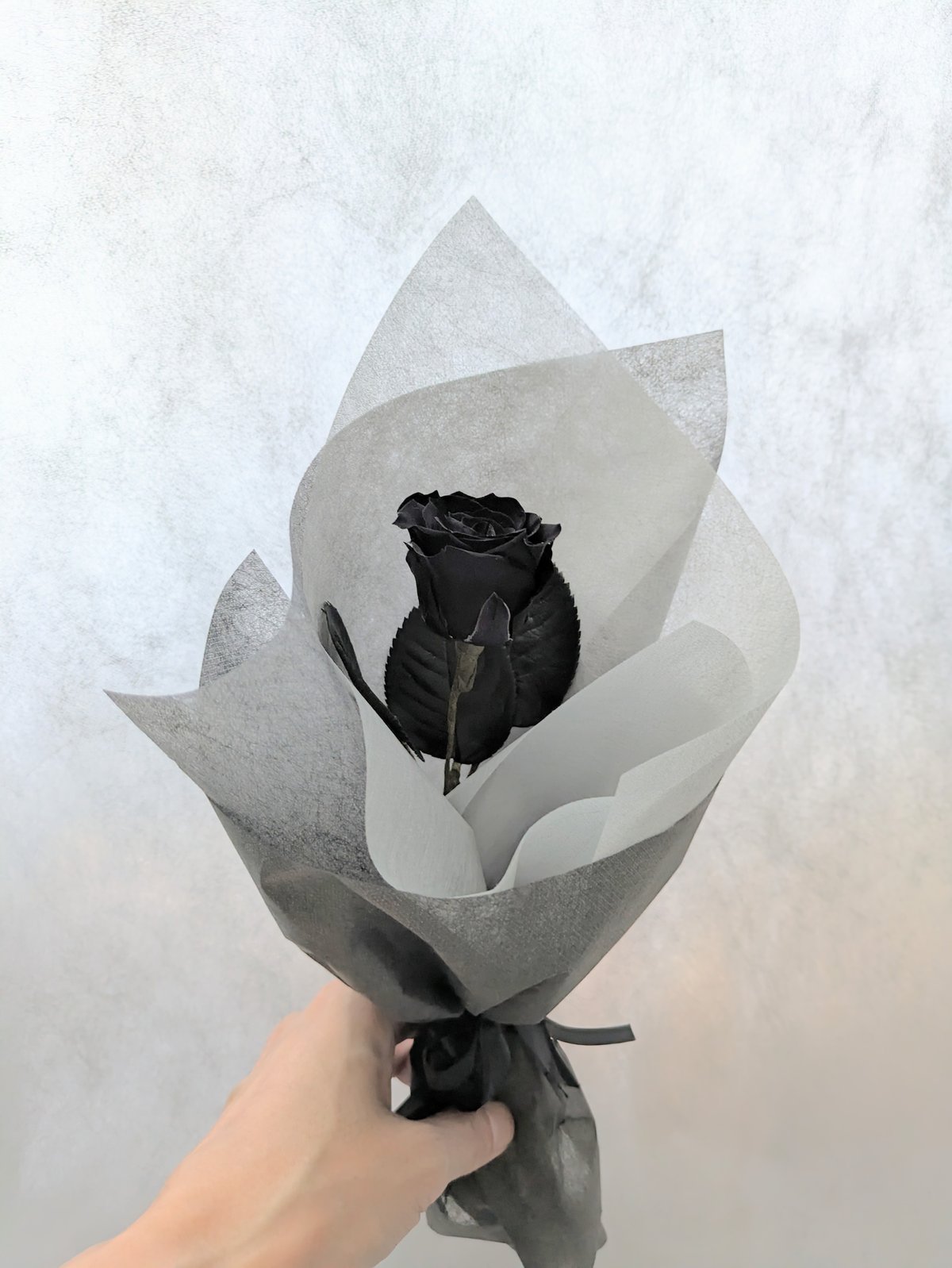 プリザーブドフラワー／黒い薔薇の一輪花束ラッピング】 黒薔薇の魔法