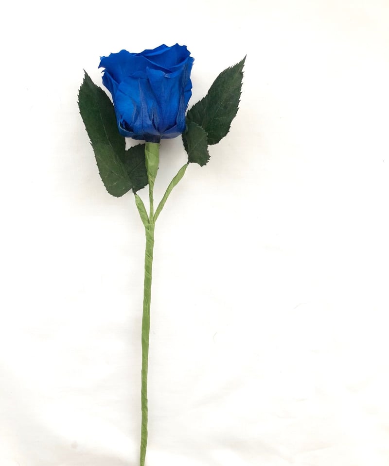 プリザーブドフラワー／青い薔薇の祝福一輪ラッピング】 | 世都華