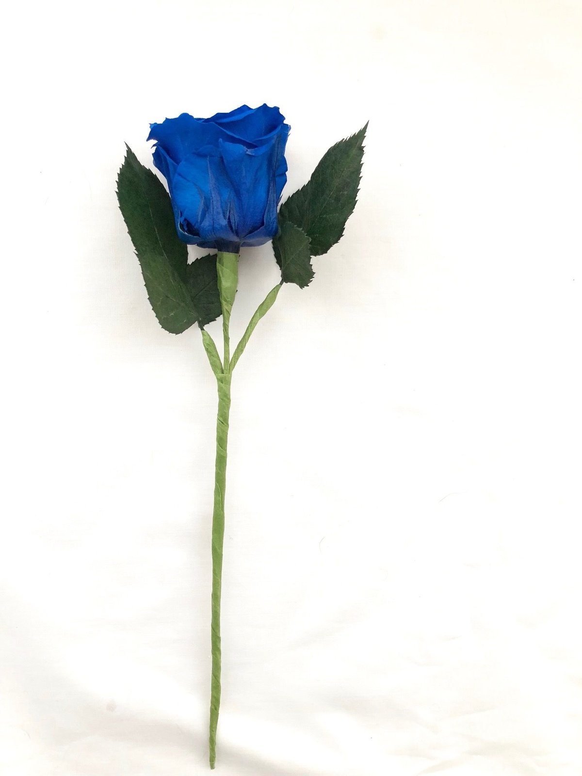 プリザーブドフラワー／青い薔薇の祝福一輪ラッピング】 | 世都華