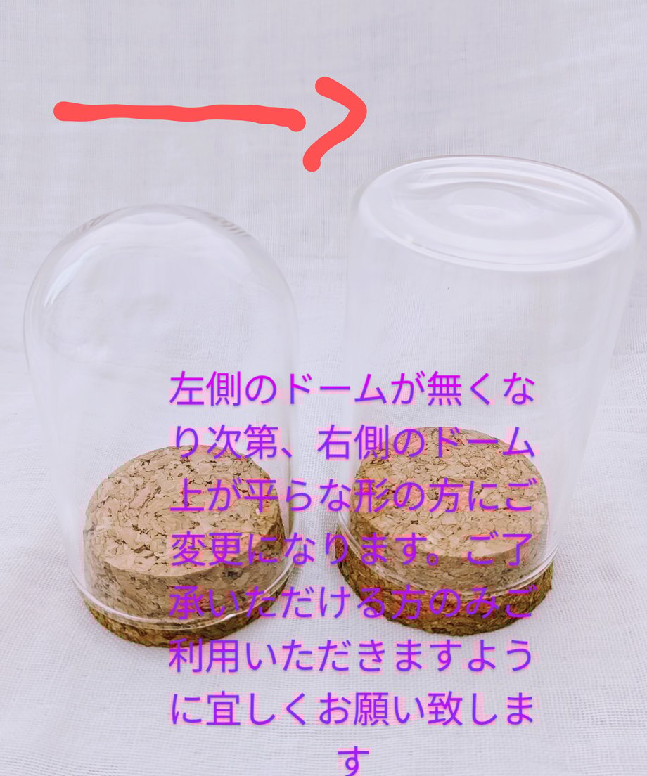 67c6d6423cc7cf02085302ab