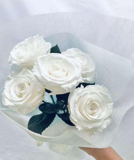 プリザーブドフラワー白い大輪の薔薇5本のふんわり花束ラッピング