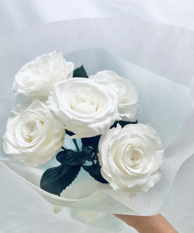 プリザーブドフラワー白い大輪の薔薇5本のふんわり花束ラッピング | 世都華