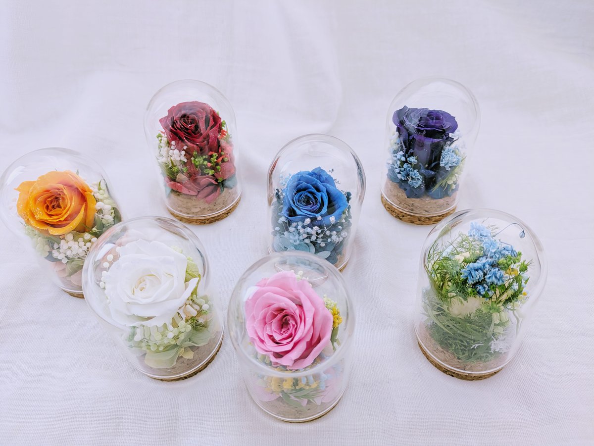 ブリザードフラワー バラの花 白 ドーム入り ブリザードフラワー バラの花 白 ドーム入り プリザーブド