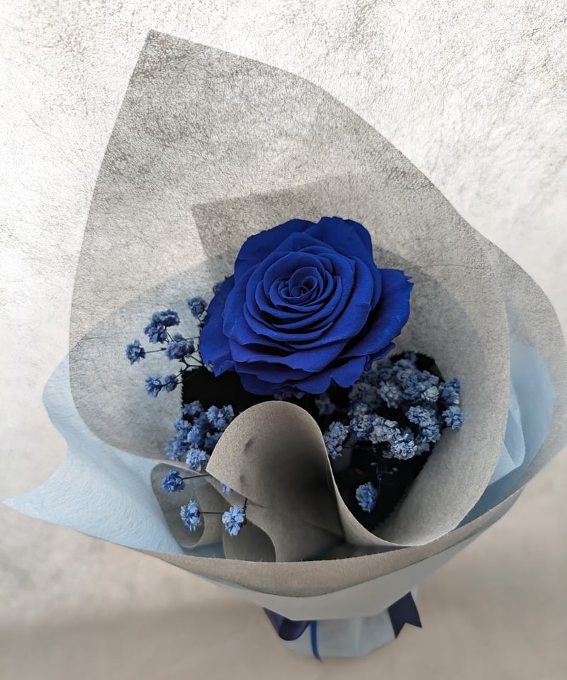 青い薔薇 様@AF & KC & IW 青い薔薇 様@AF & KC & IW 青い薔薇 様@AF & KC & IW