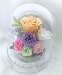 プリザーブドフラワードームの中に咲くクリーム色の薔薇とダリア（ラッピング付き）