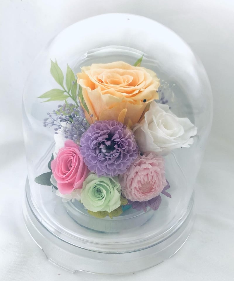 プリザーブドフラワードームの中に咲くクリーム色の薔薇とダリア