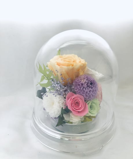 プリザーブドフラワードームの中に咲くクリーム色の薔薇とダリア（ラッピング付き）