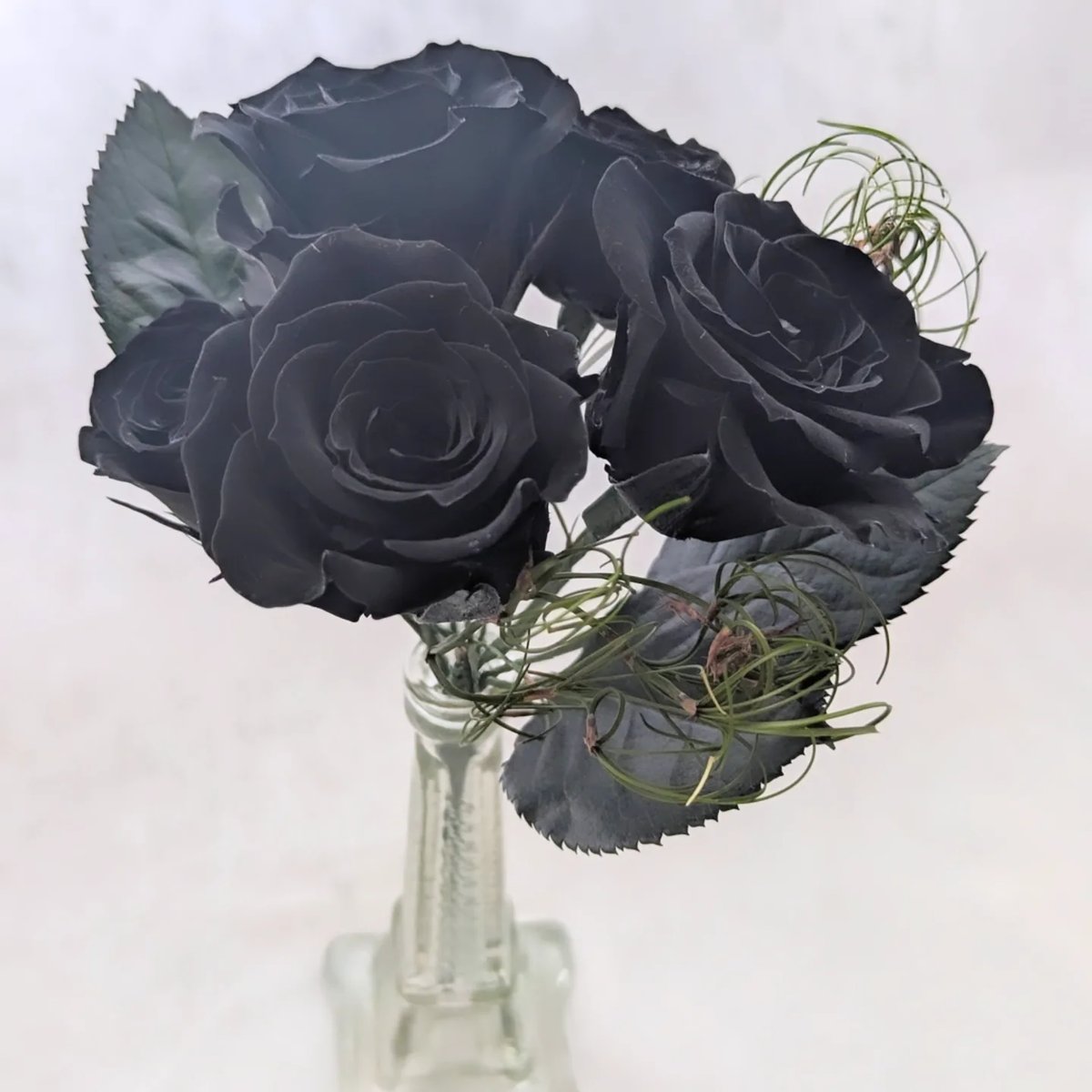プリザーブドフラワー黒薔薇花束5輪／黒薔薇魔法発動中 | 世都華