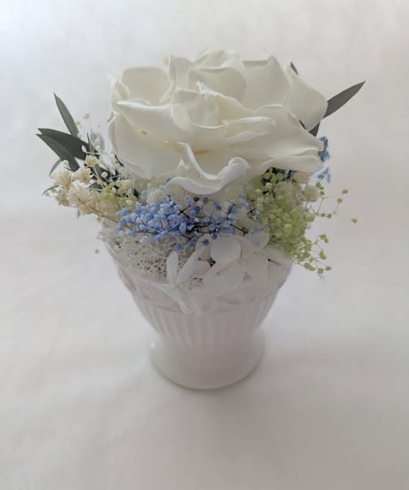 プリザーブドフラワー/クチナシの花の白い輝き/フラワーケースリボンラッピング付き